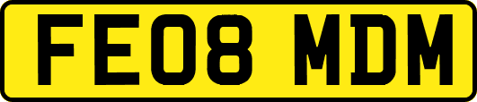 FE08MDM