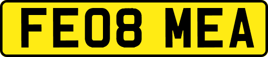 FE08MEA