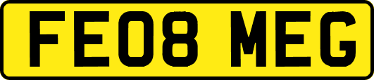 FE08MEG