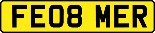 FE08MER