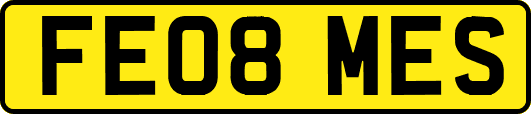 FE08MES