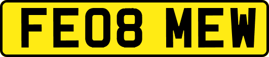 FE08MEW