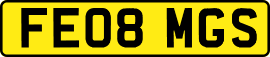 FE08MGS