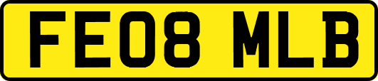 FE08MLB