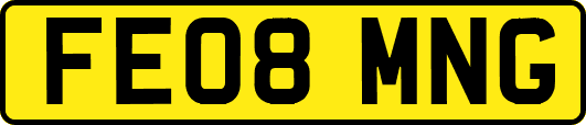 FE08MNG