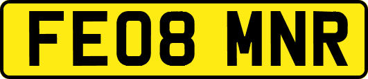 FE08MNR