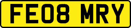 FE08MRY