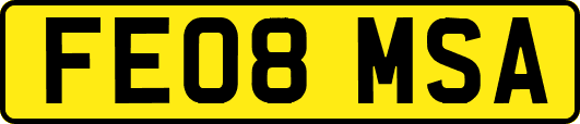 FE08MSA