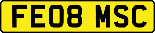 FE08MSC