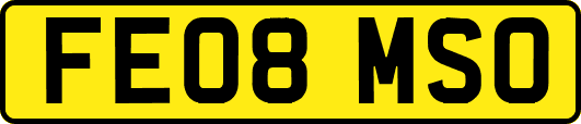 FE08MSO