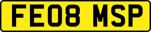 FE08MSP