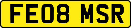 FE08MSR