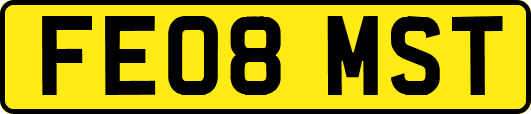 FE08MST