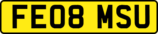 FE08MSU