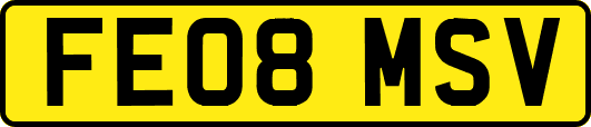 FE08MSV