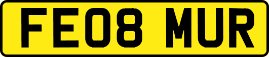 FE08MUR