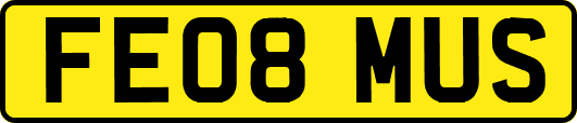 FE08MUS