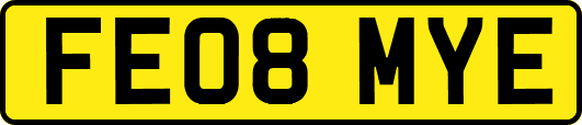 FE08MYE