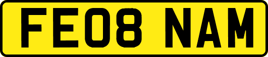 FE08NAM