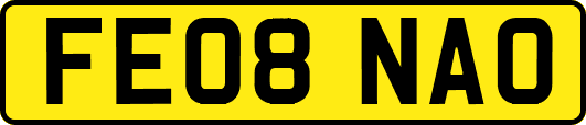 FE08NAO