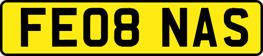 FE08NAS
