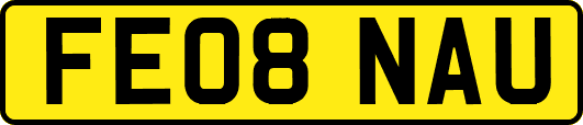 FE08NAU