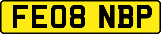 FE08NBP