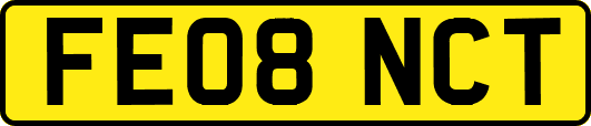 FE08NCT