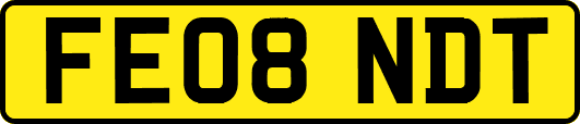 FE08NDT