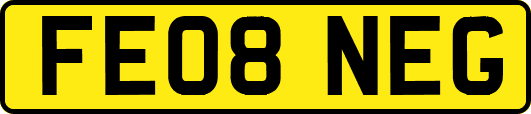 FE08NEG