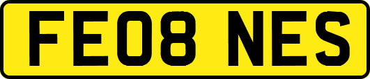 FE08NES