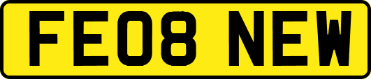 FE08NEW