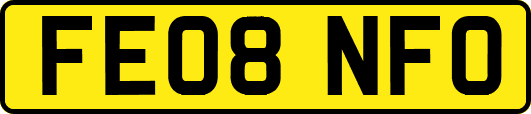 FE08NFO