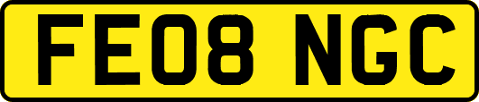 FE08NGC