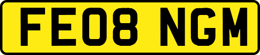 FE08NGM