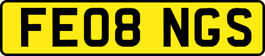 FE08NGS