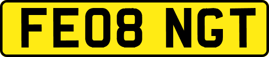 FE08NGT