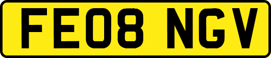 FE08NGV