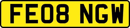FE08NGW