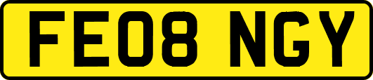 FE08NGY