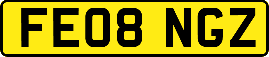 FE08NGZ