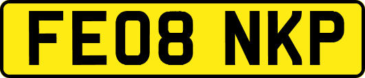 FE08NKP