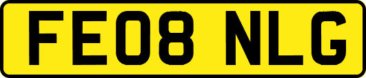 FE08NLG