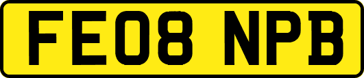 FE08NPB