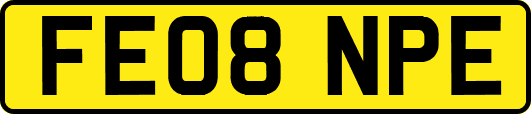 FE08NPE