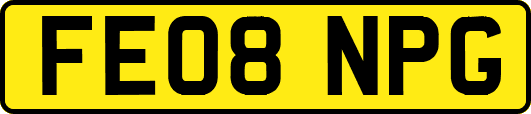 FE08NPG