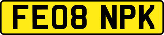 FE08NPK