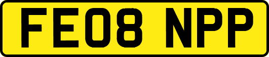 FE08NPP