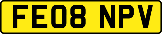 FE08NPV