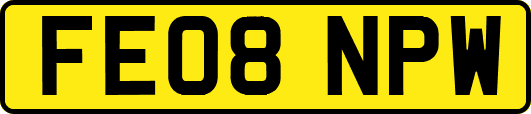 FE08NPW